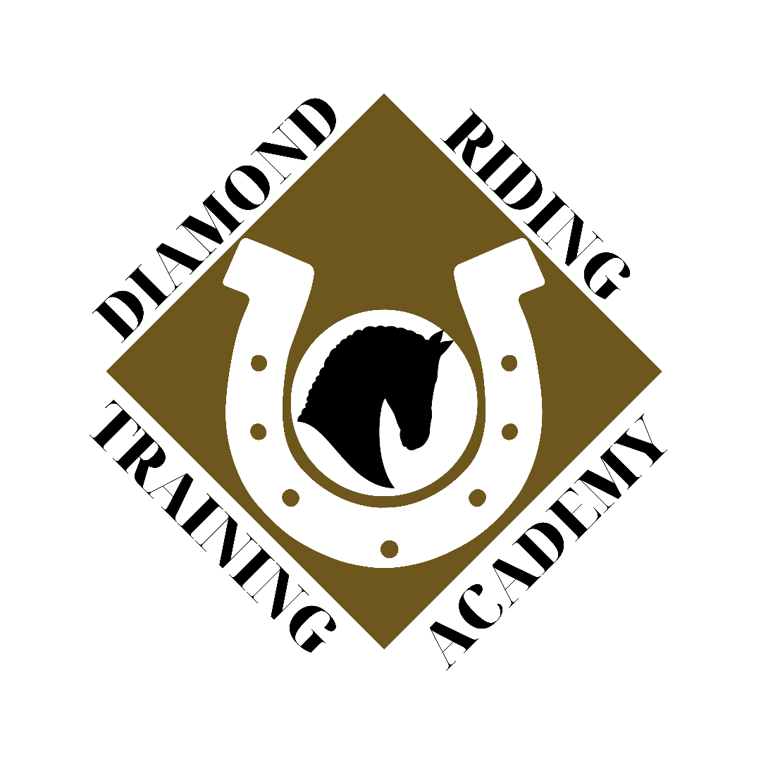 Logo for diamond riding, diamond logo with horse shoe and horse head